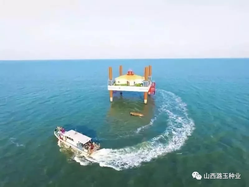 154503252079253.jpg