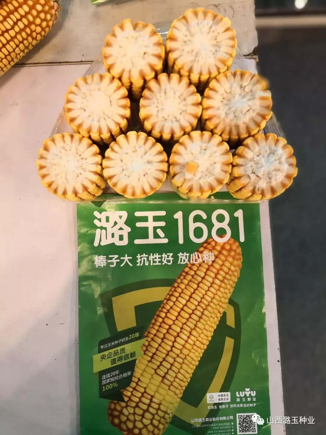 聚力引领 争鼎滇峰—山西潞玉种业&云南恒禾种业联合新品推介会隆重