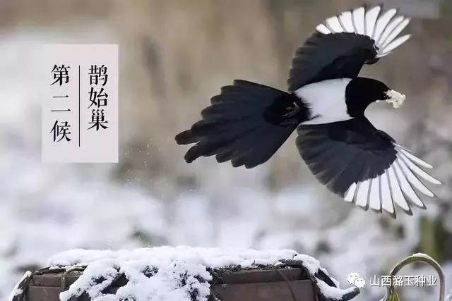微信图片_20200219101506.jpg