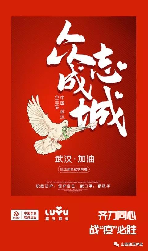 微信图片_20200219135427.jpg 微信图片_20200219135427.jpg