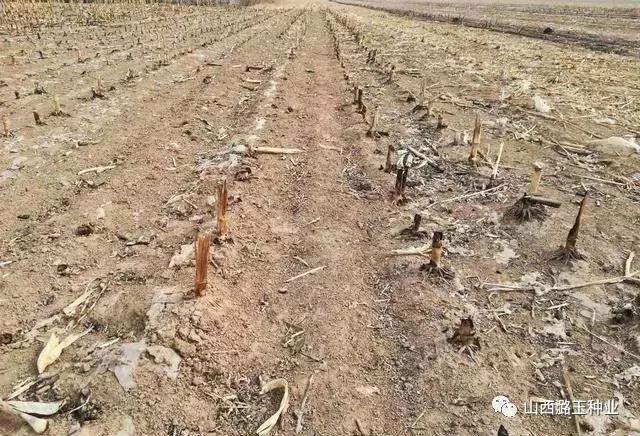 微信图片_20200219135441.jpg 微信图片_20200219135441.jpg