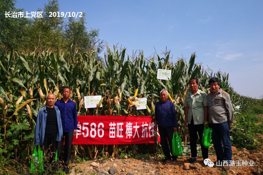 微信图片_20200219140446.jpg 微信图片_20200219140446.jpg