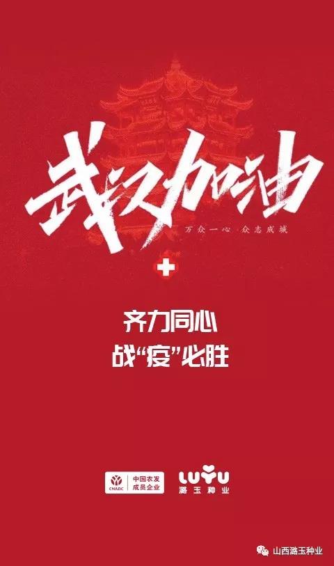 微信图片_20200219141934.jpg 微信图片_20200219141934.jpg