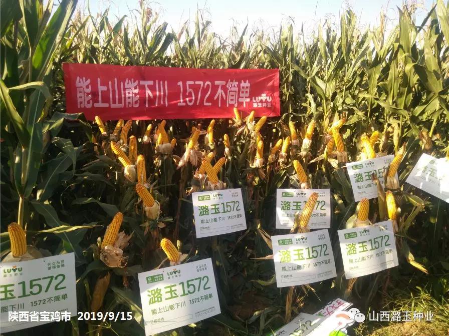 微信图片_20200219141940.jpg 微信图片_20200219141940.jpg