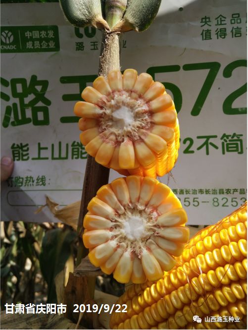 微信图片_20200219141946.jpg 微信图片_20200219141946.jpg