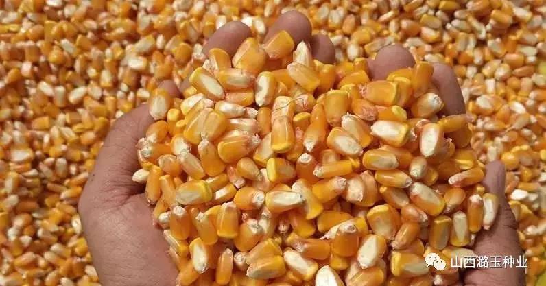 微信图片_20200219141950.jpg 微信图片_20200219141950.jpg