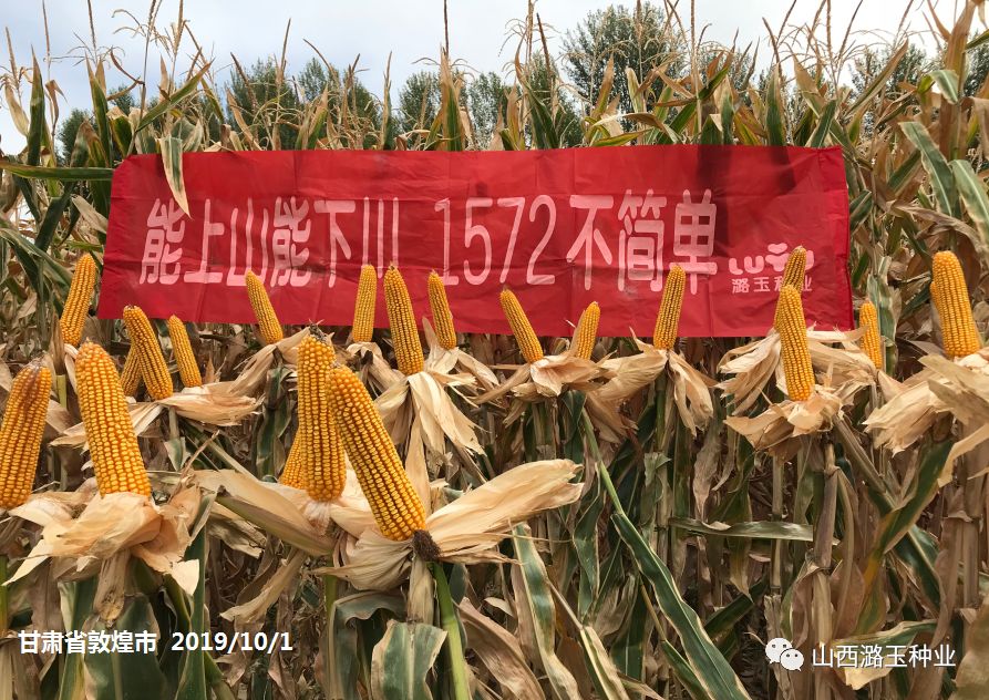 微信图片_20200219141953.jpg 微信图片_20200219141953.jpg