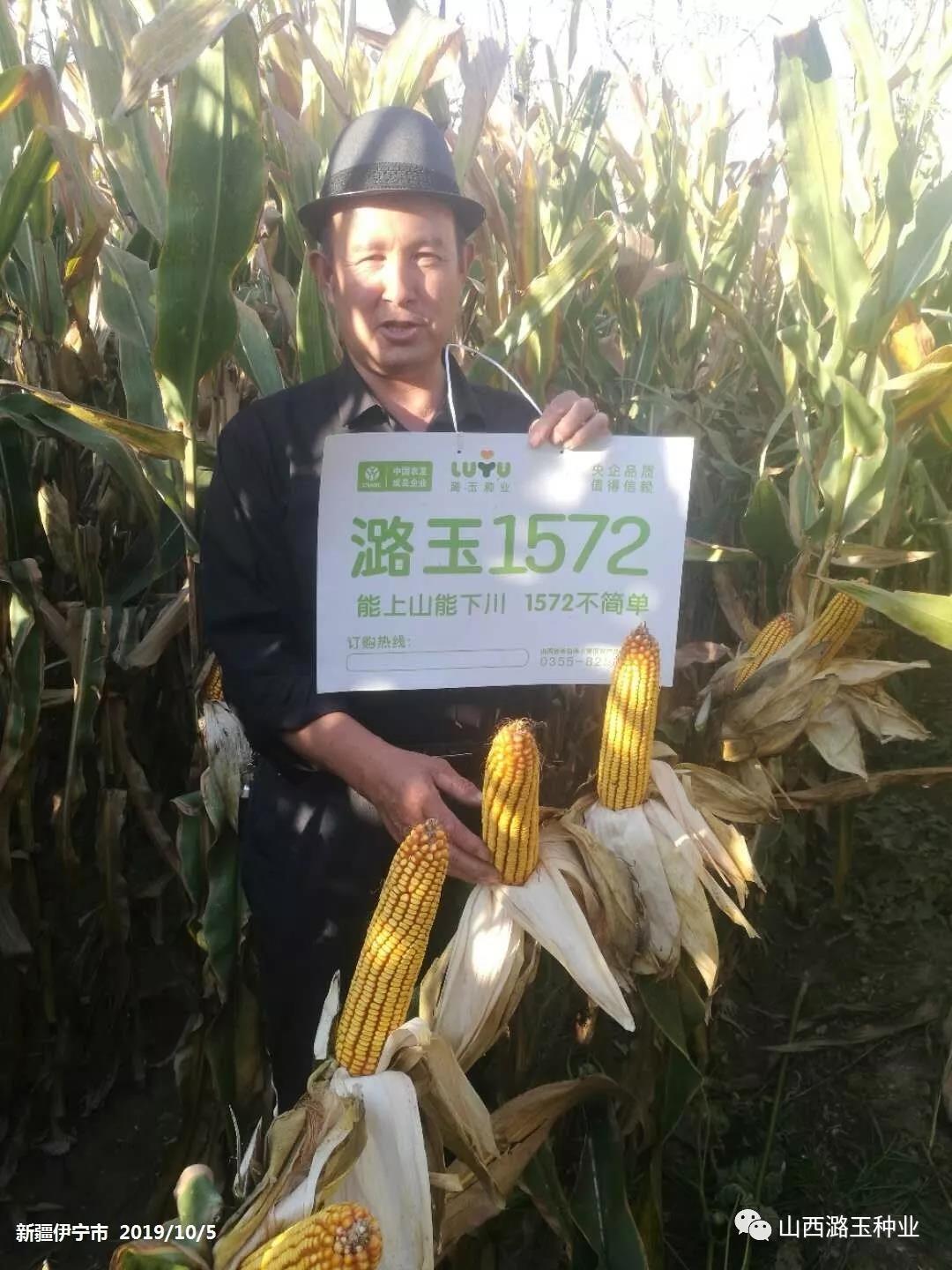 微信图片_20200219141956.jpg 微信图片_20200219141956.jpg