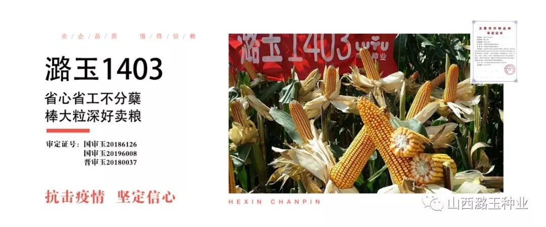 微信图片_20200219142003.jpg 微信图片_20200219142003.jpg