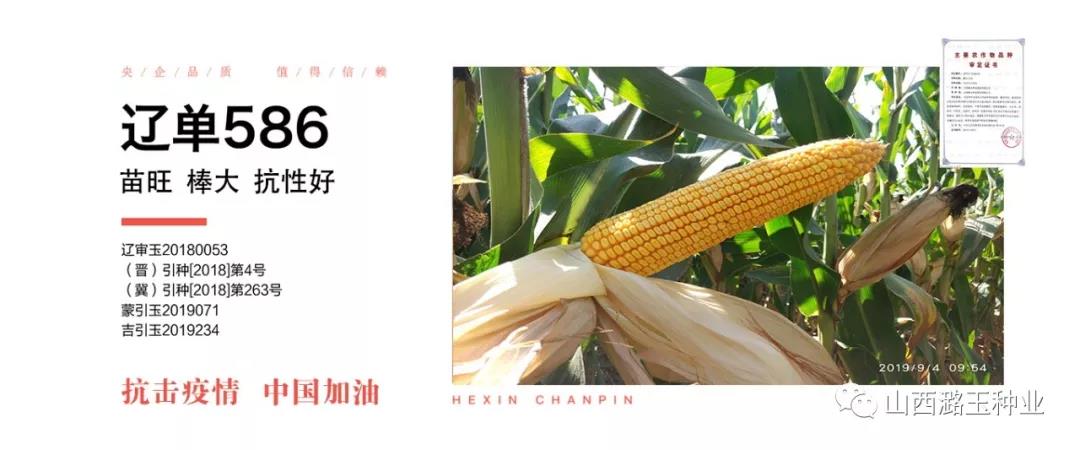 微信图片_20200219142013.jpg 微信图片_20200219142013.jpg