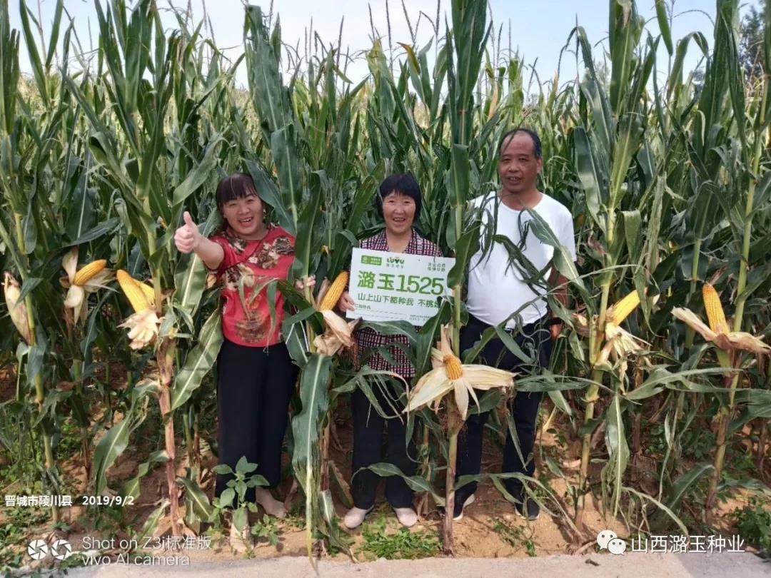 微信图片_20200309140525.jpg 微信图片_20200309140525.jpg