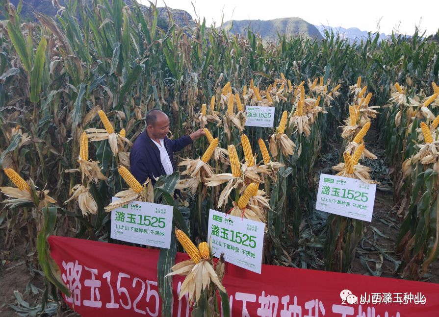 微信图片_20200309140713.jpg 微信图片_20200309140713.jpg