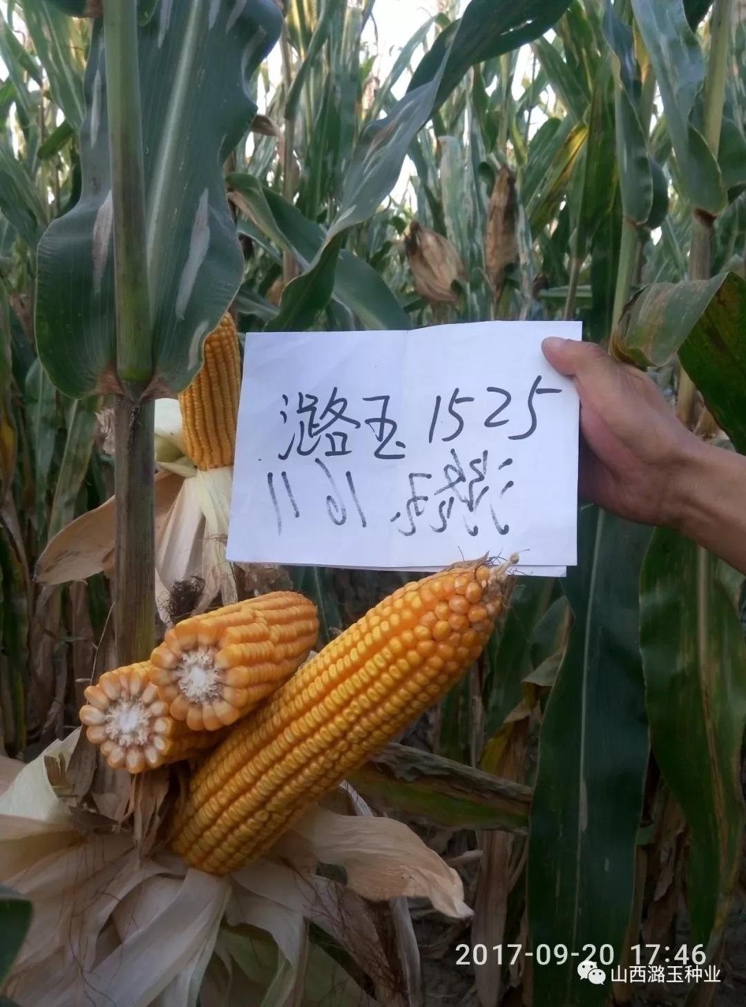 微信图片_20200309140717.jpg 微信图片_20200309140717.jpg