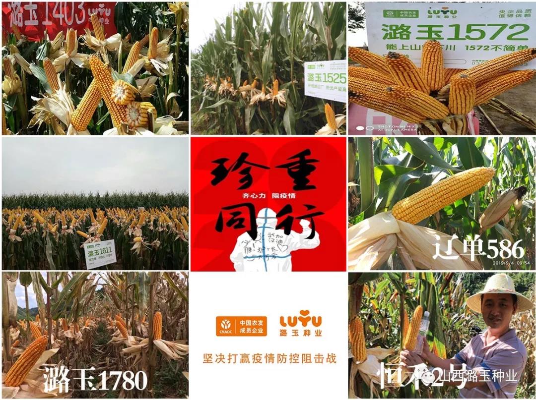 微信图片_20200309140727.jpg 微信图片_20200309140727.jpg