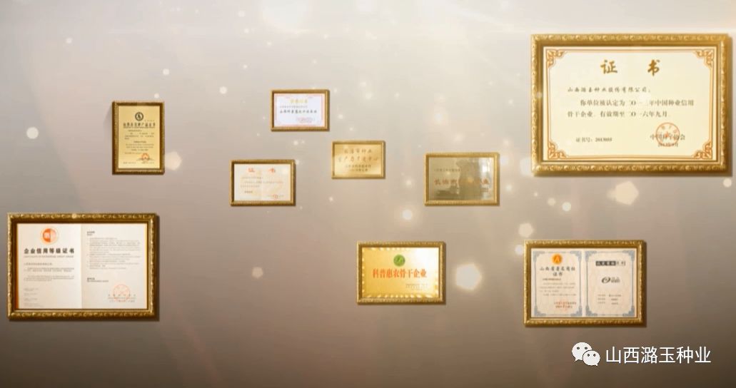 微信图片_20200309141533.jpg 微信图片_20200309141533.jpg