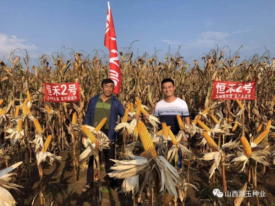 微信图片_20200309143750.jpg 微信图片_20200309143750.jpg