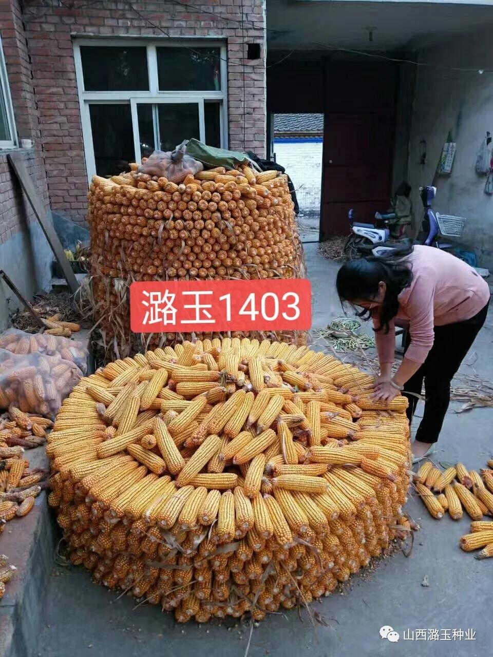 微信图片_20200309144507.jpg