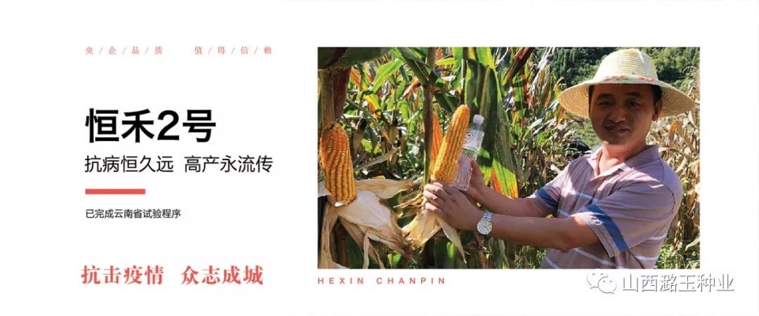 微信图片_20200309144909.jpg
