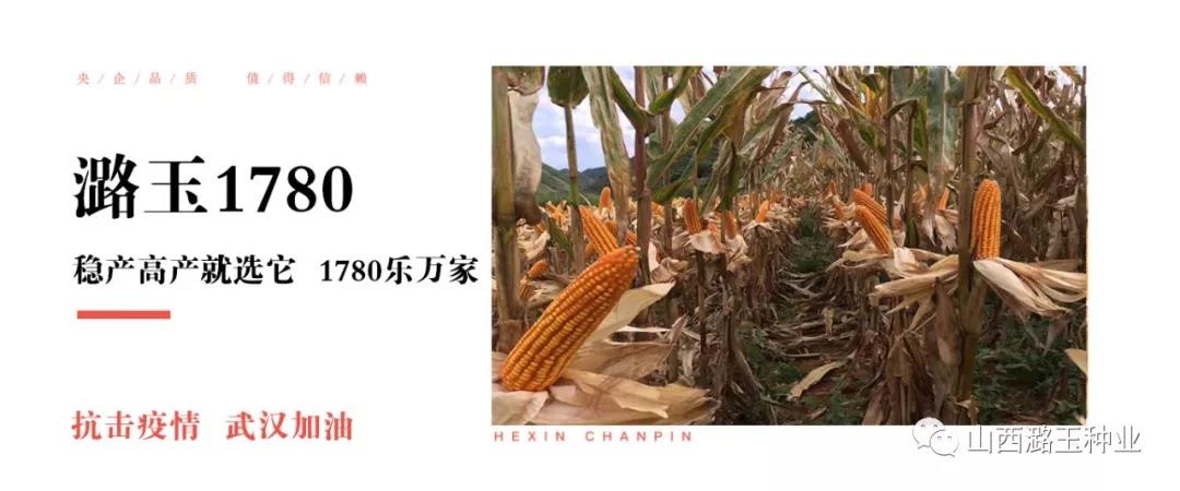 微信图片_20200309144913.jpg