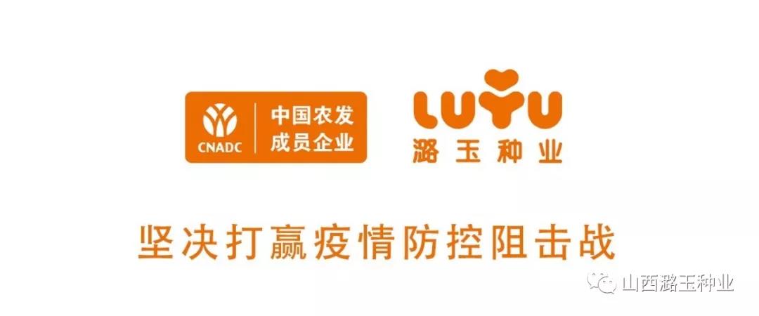 微信图片_20200309145501.jpg