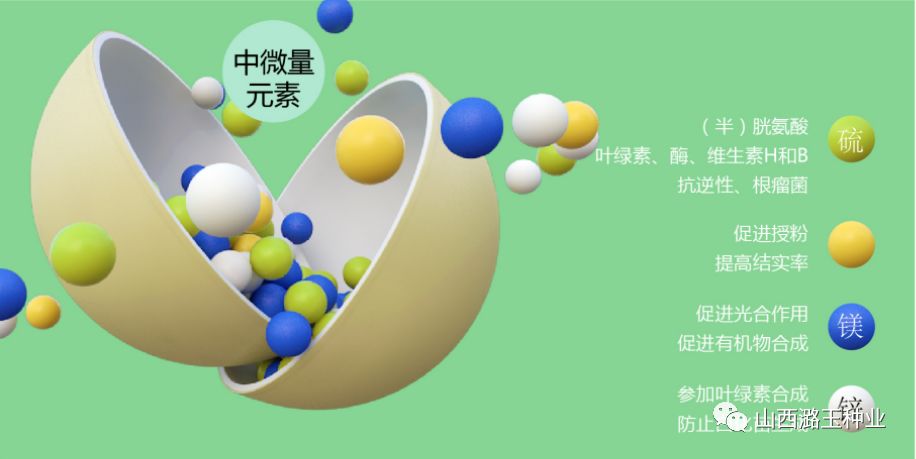 微信图片_20200309152046.jpg
