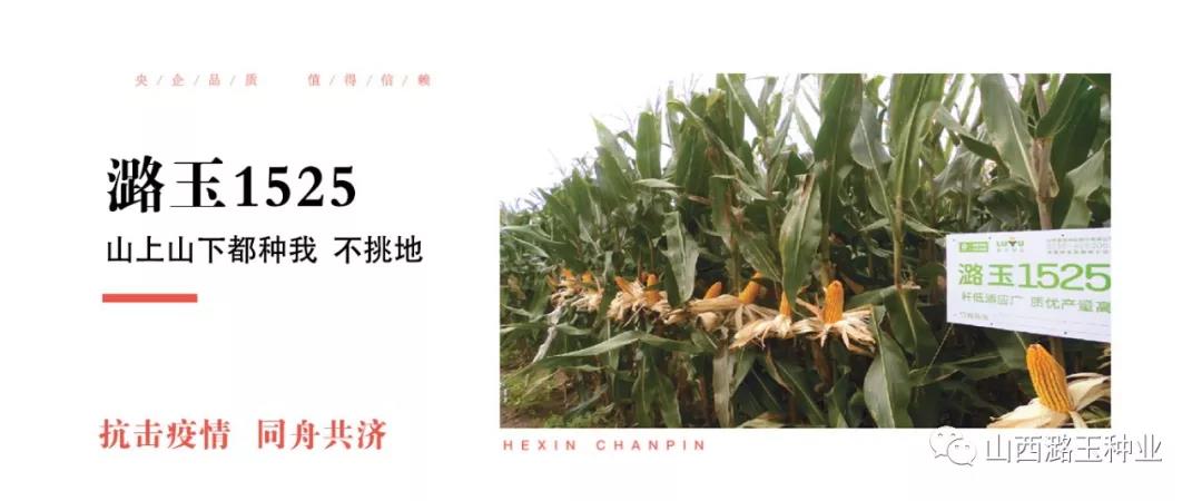微信图片_20200416145307.jpg 微信图片_20200416145307.jpg