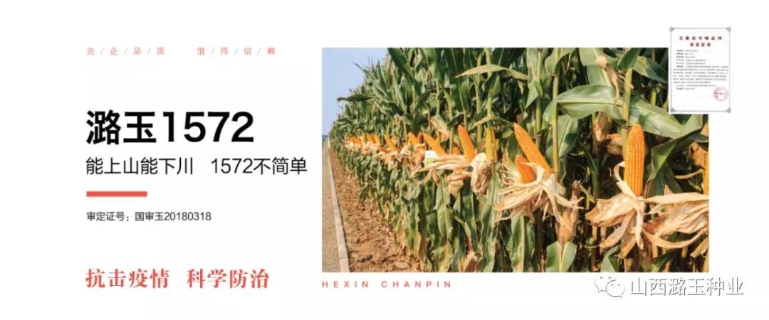 微信图片_20200416145312.jpg 微信图片_20200416145312.jpg