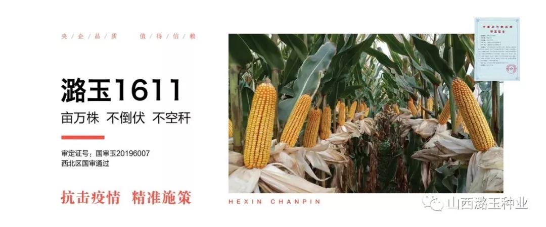 微信图片_20200416145317.jpg 微信图片_20200416145317.jpg