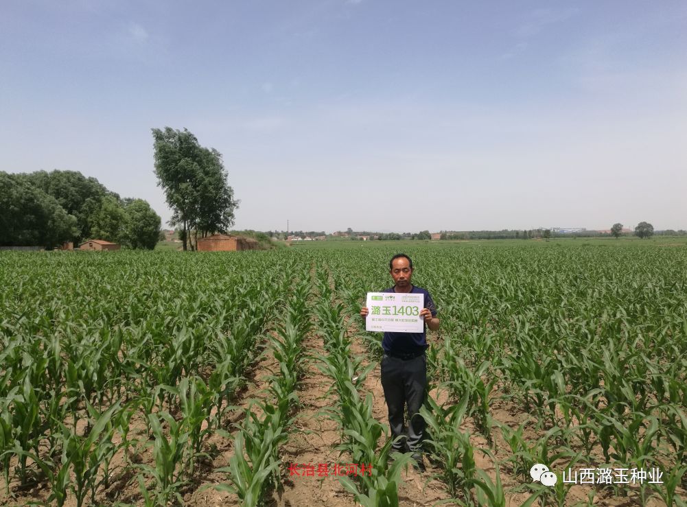 微信图片_20200416173423.jpg 微信图片_20200416173423.jpg