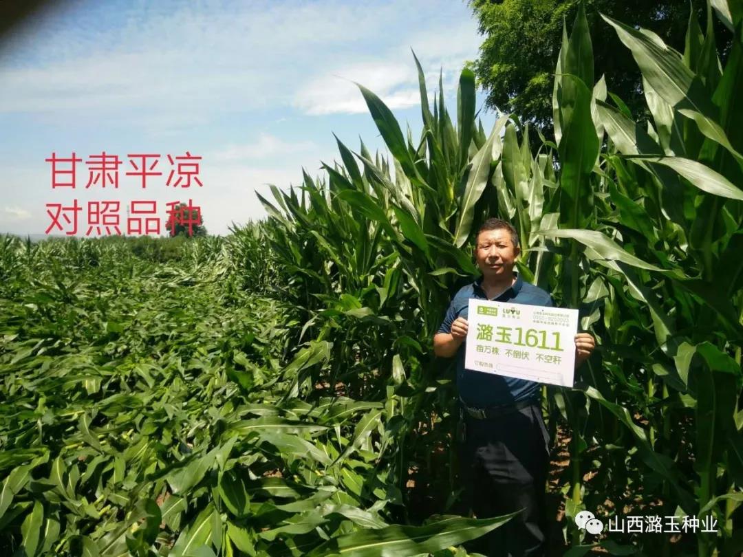 微信图片_20200416173432.jpg 微信图片_20200416173432.jpg