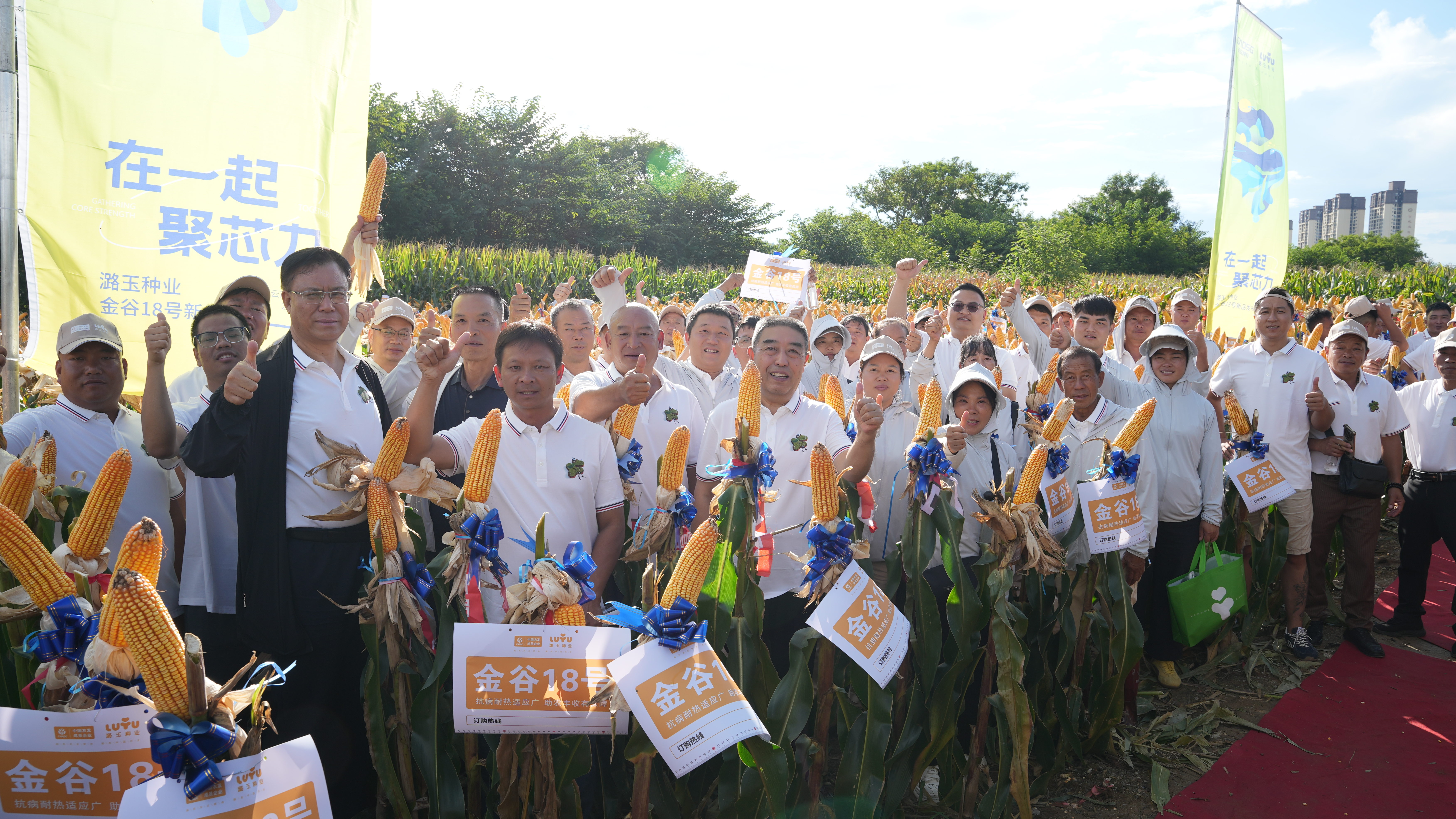 微信图片_20250902095029_28_120.jpg 微信图片_20250902095029_28_120.jpg