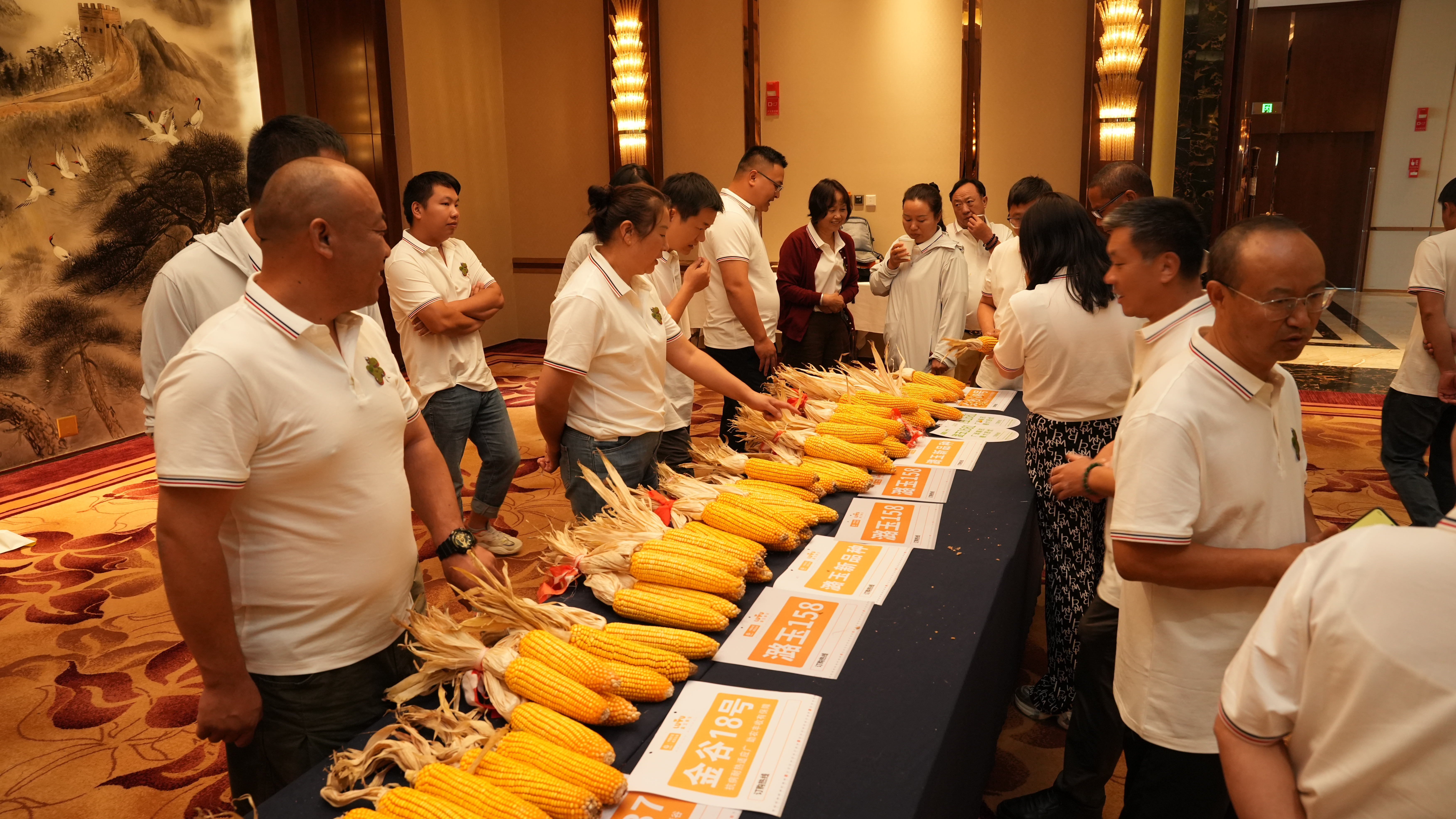 微信图片_20250902095256_45_120.jpg 微信图片_20250902095256_45_120.jpg