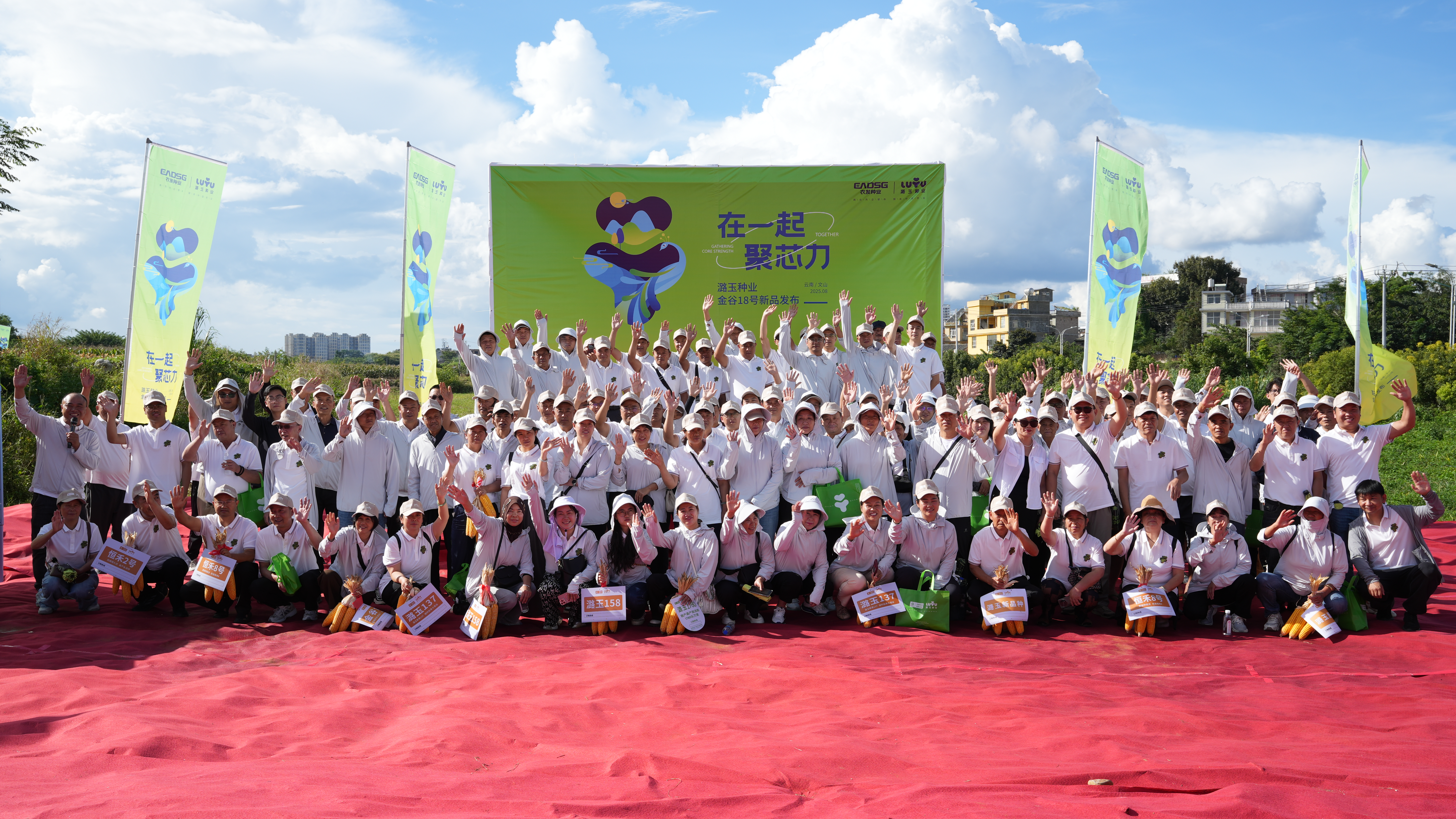 微信图片_20250902094957_24_120.jpg 微信图片_20250902094957_24_120.jpg