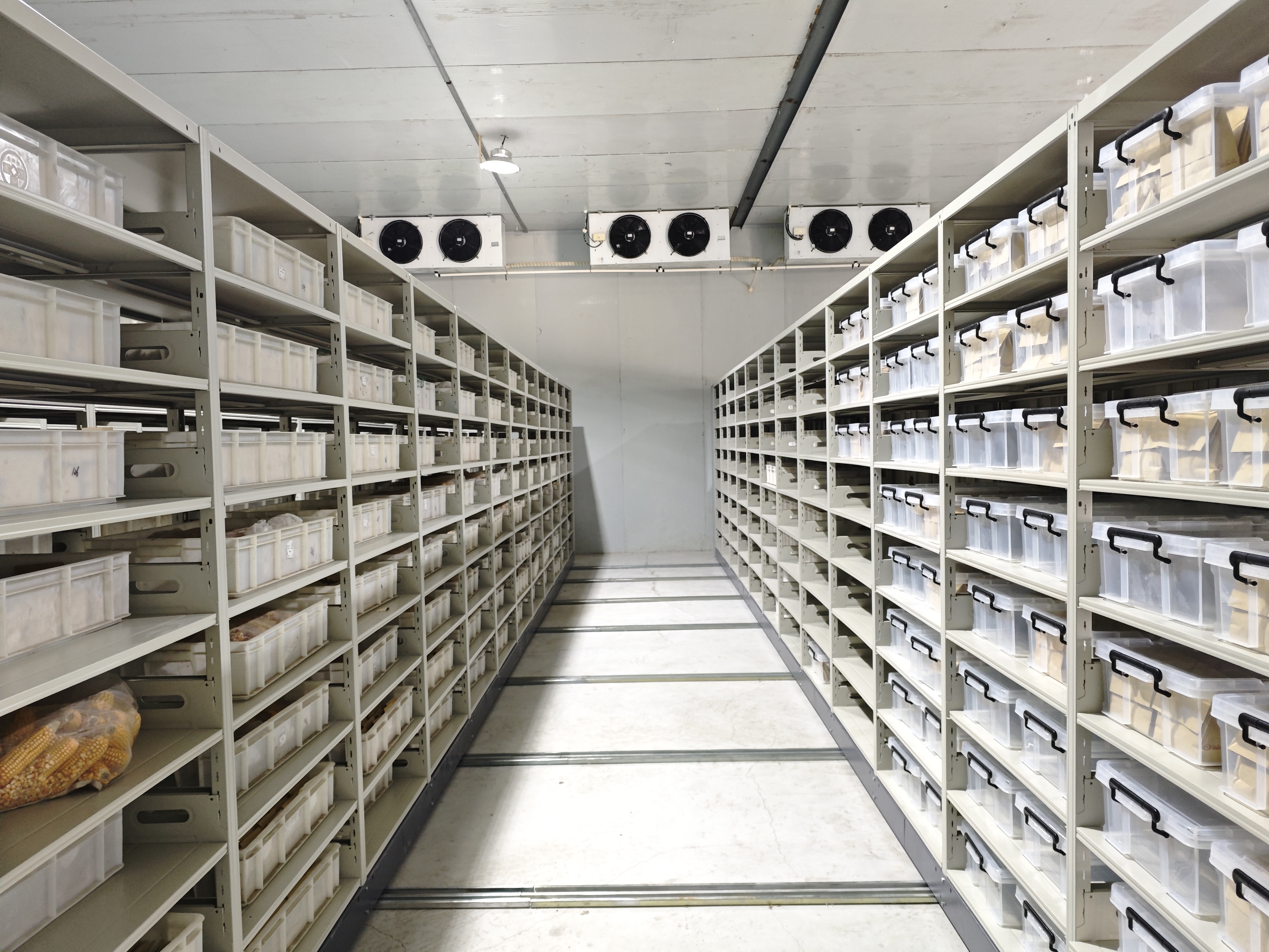 微信图片_20250928154038_188_24.jpg 微信图片_20250928154038_188_24.jpg