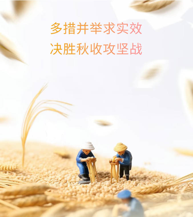 Snipaste_2025-10-13_11-01-15.jpg Snipaste_2025-10-13_11-01-15.jpg