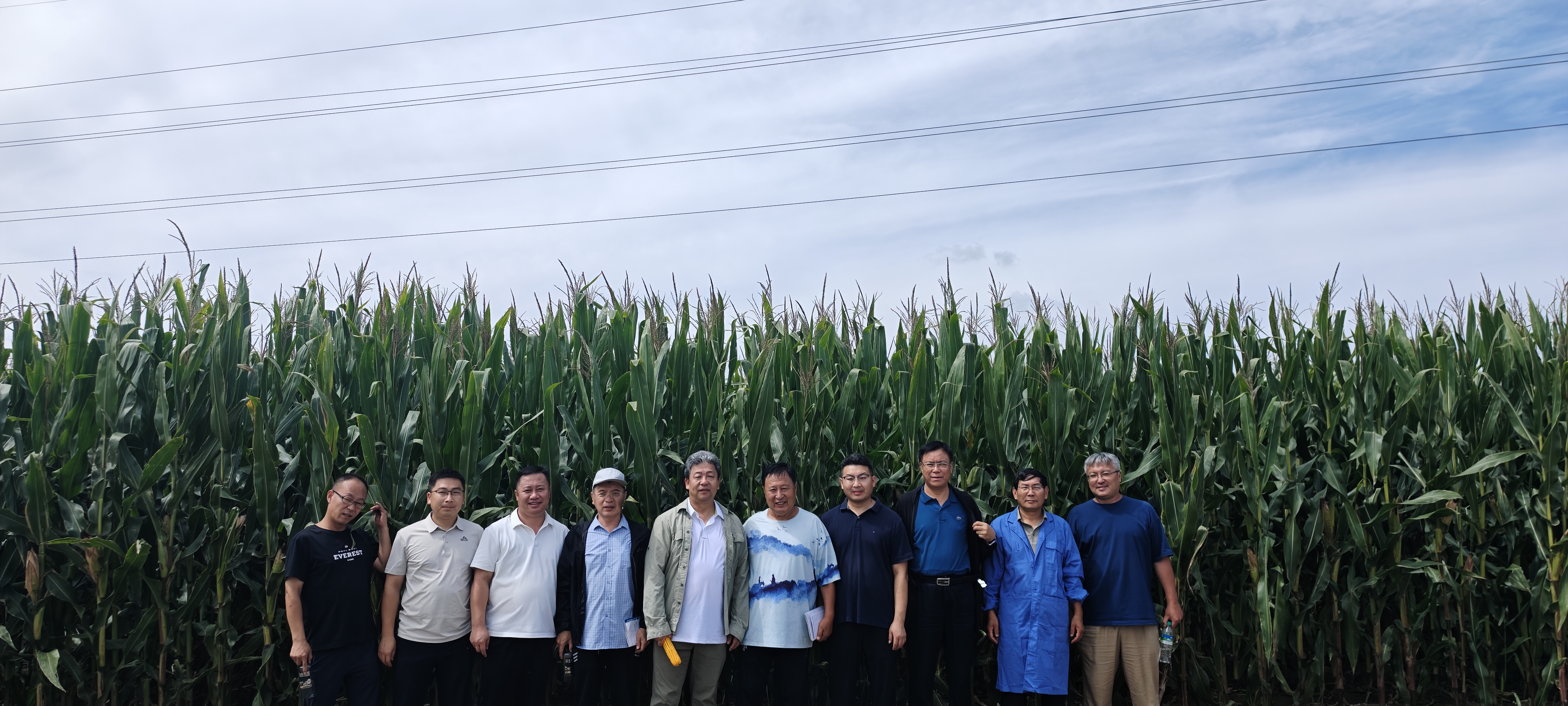 微信图片_20250825145426_19_60.jpg 微信图片_20250825145426_19_60.jpg