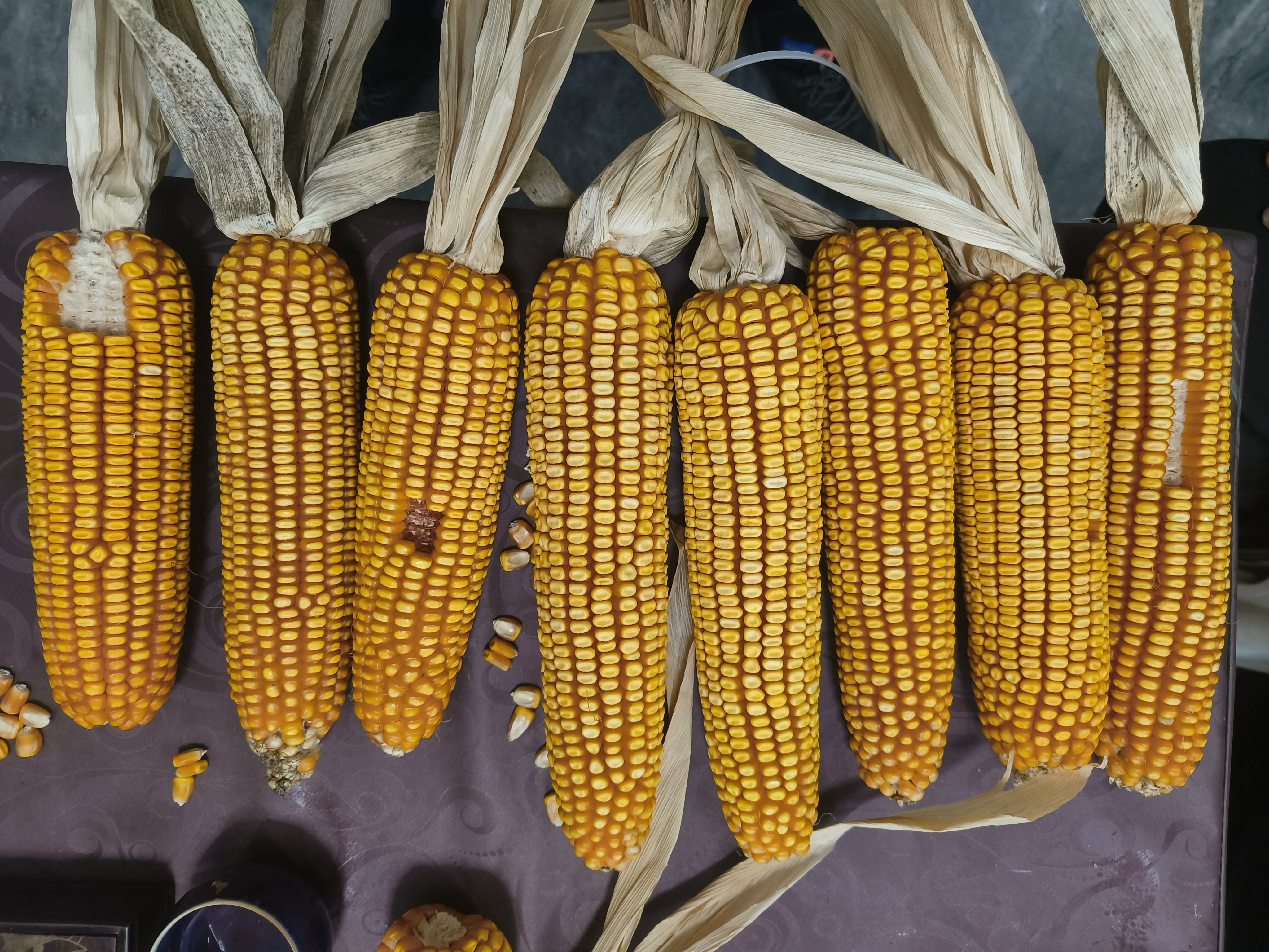 微信图片_20251028143807_54_55.jpg 微信图片_20251028143807_54_55.jpg