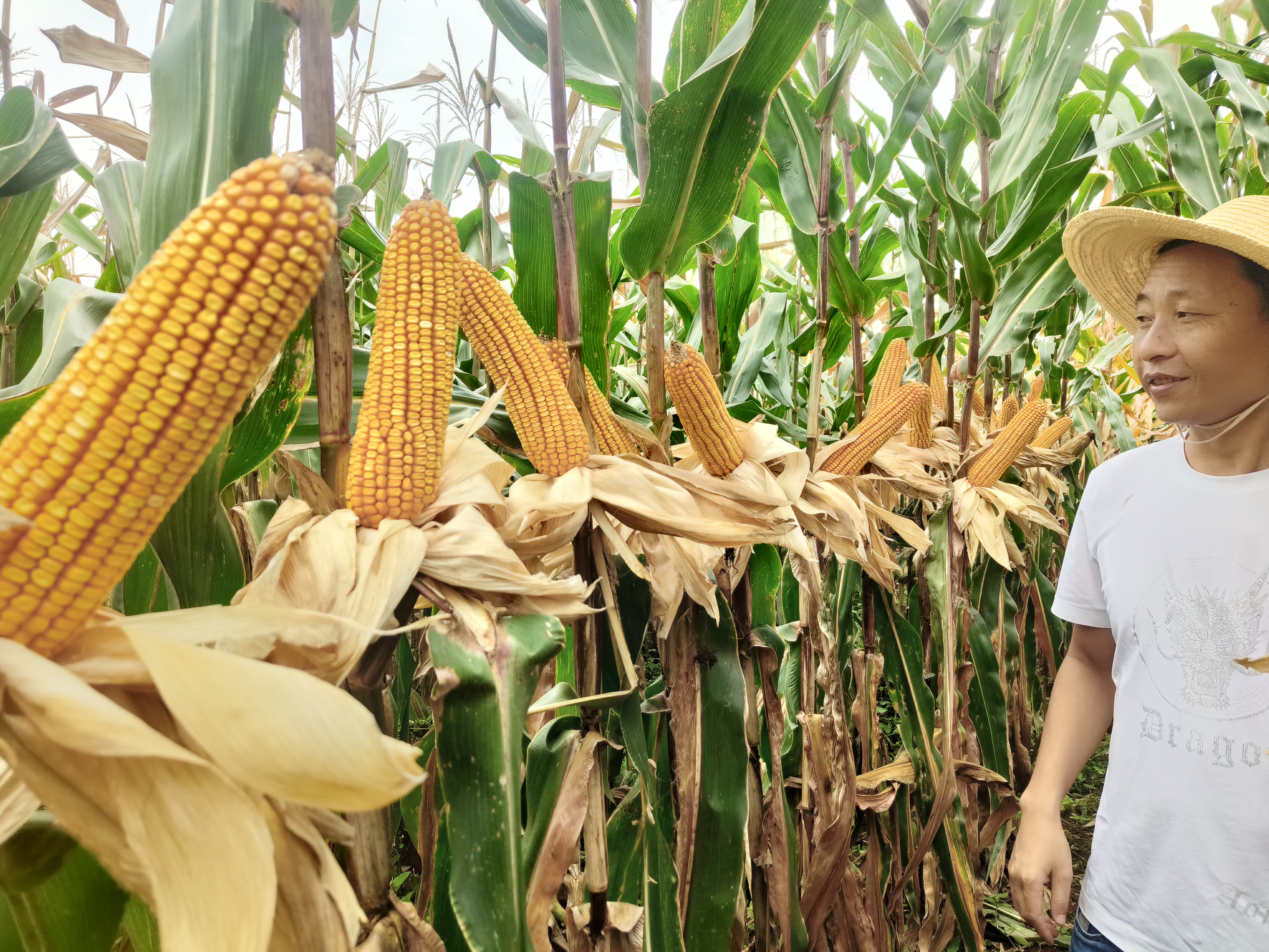 微信图片_20251028143817_62_55.jpg 微信图片_20251028143817_62_55.jpg