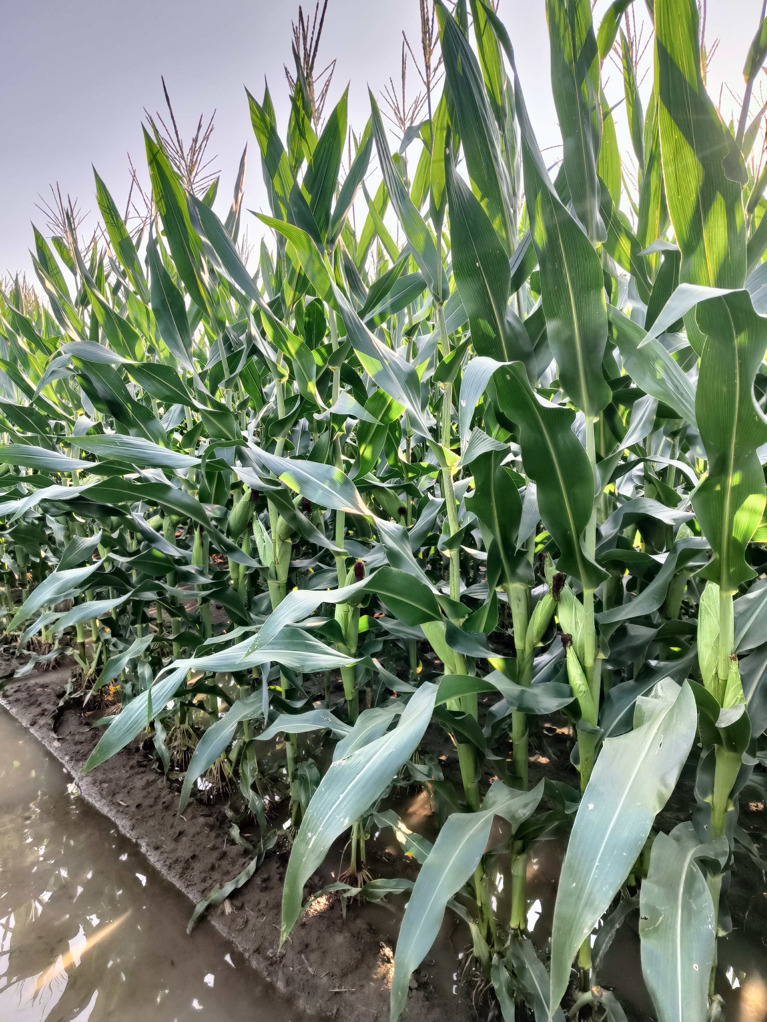 微信图片_20251028143801_49_55.jpg 微信图片_20251028143801_49_55.jpg