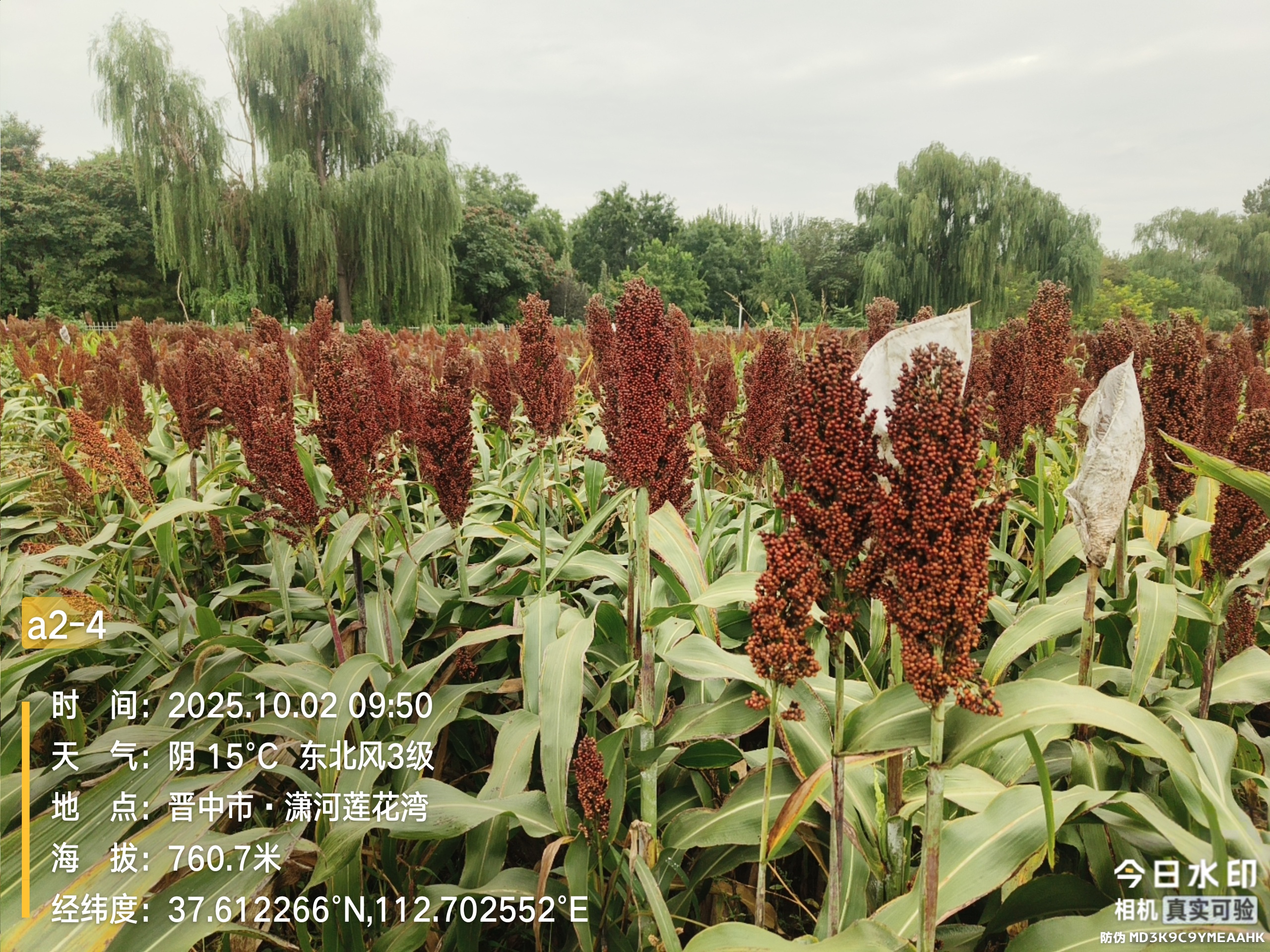 微信图片_20251029113919_86_55.jpg 微信图片_20251029113919_86_55.jpg