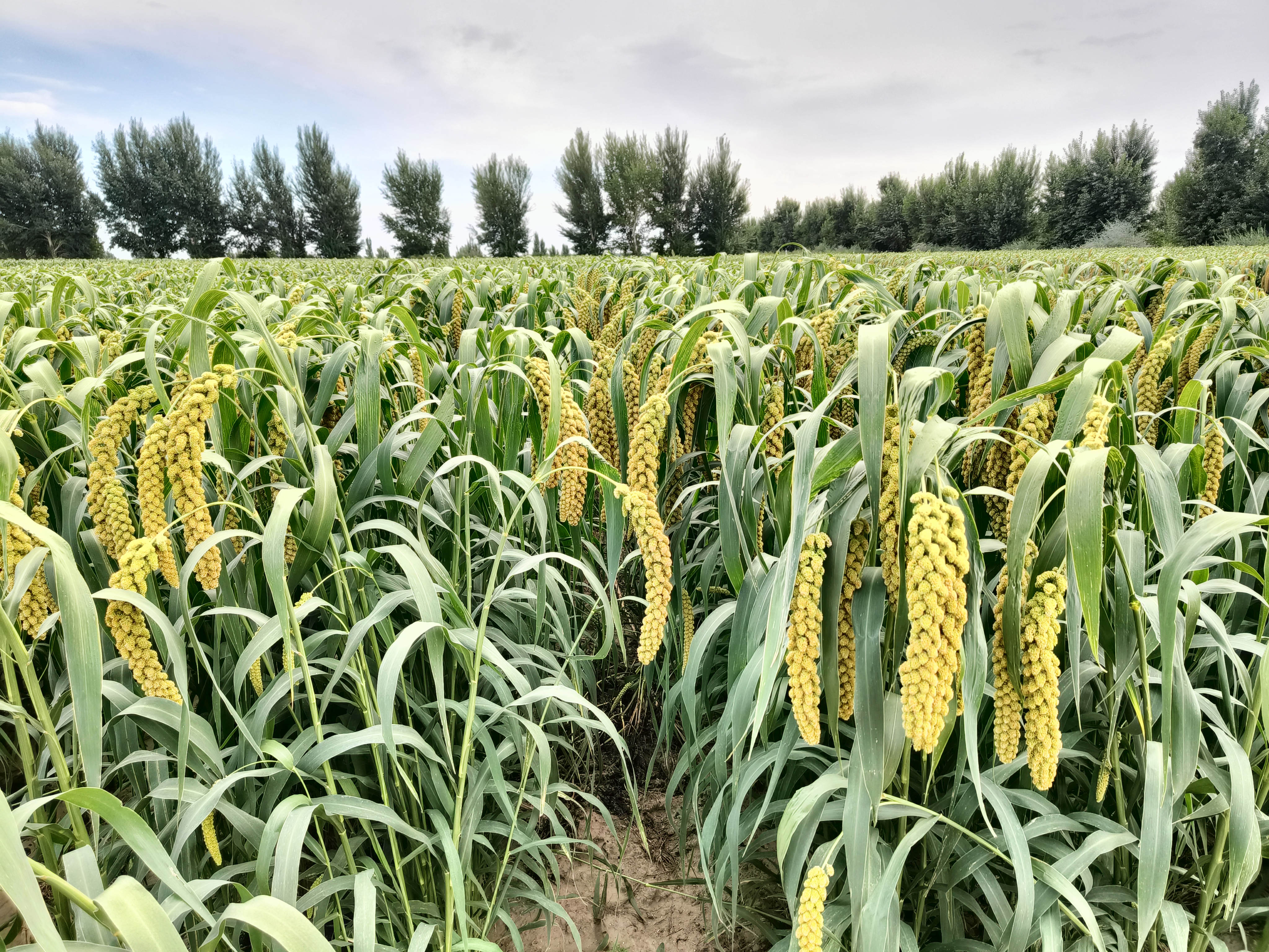 微信图片_20251029113827_84_55.jpg 微信图片_20251029113827_84_55.jpg