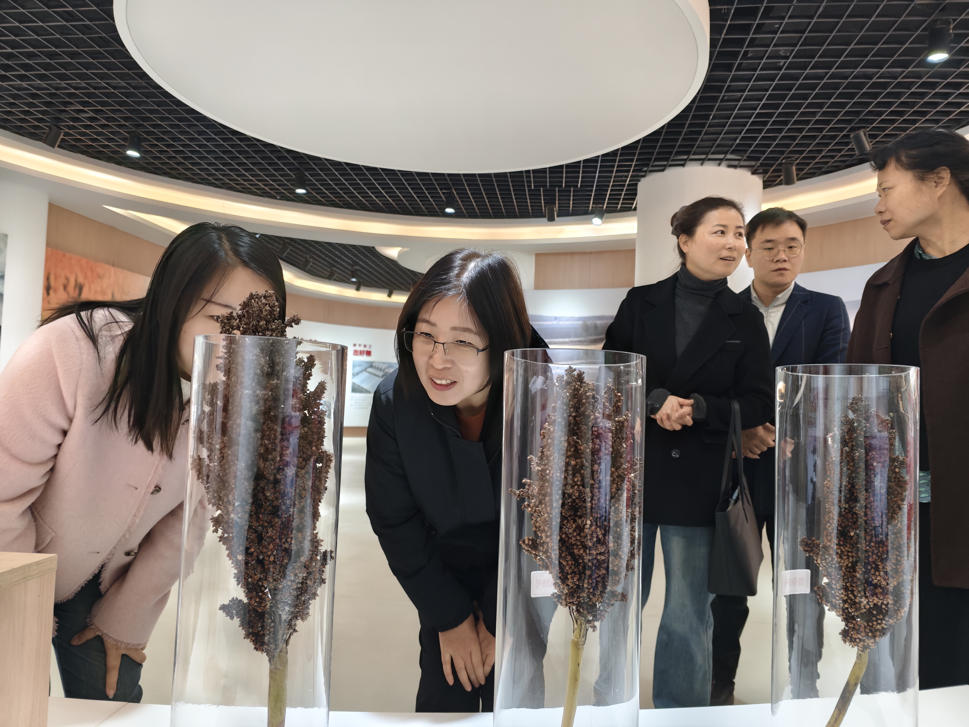 微信图片_20251115104605_332_24.jpg 微信图片_20251115104605_332_24.jpg