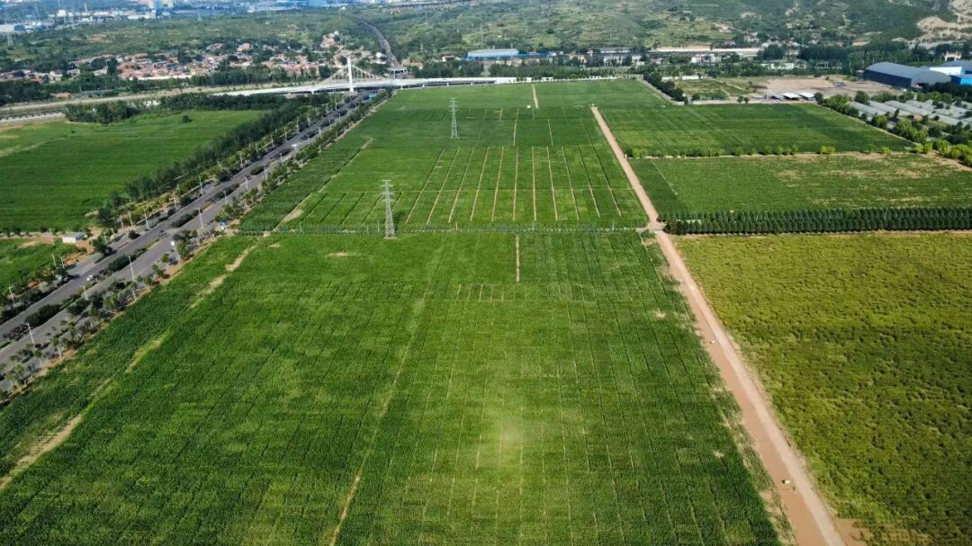 微信图片_2025-12-22_161703_355.jpg 微信图片_2025-12-22_161703_355.jpg