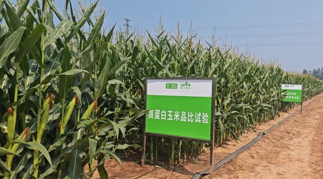 微信图片_2025-12-22_161707_844.jpg 微信图片_2025-12-22_161707_844.jpg