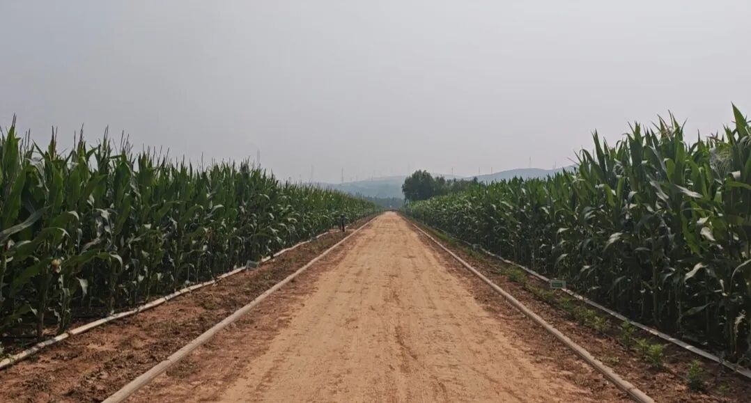 微信图片_2025-12-22_161719_187.jpg 微信图片_2025-12-22_161719_187.jpg